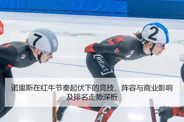 诺里斯在红牛节奏起伏下的竞技、阵容与商业影响及排名走势深析